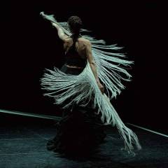 fotoRafaOlleroparaSliderDanza